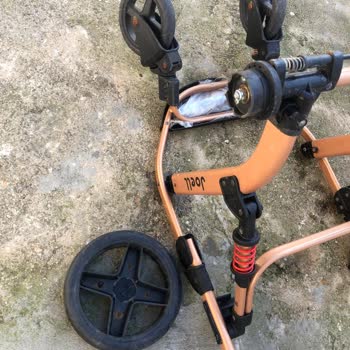 Joell Her Tarafı Kırılıyor