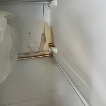 Arçelik Buzdolabı İçerisinde Oksitlenme