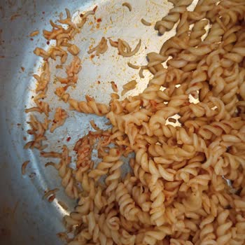 Bizim Toptan Satış Mağazaları Bizim Makarna Kalitesizliği