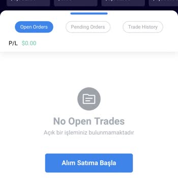 Fed Yatırım Menkul Değerler Para Çekememe