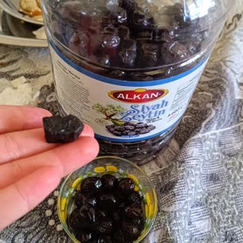 Alkan Zeytin Ve Sahipleri