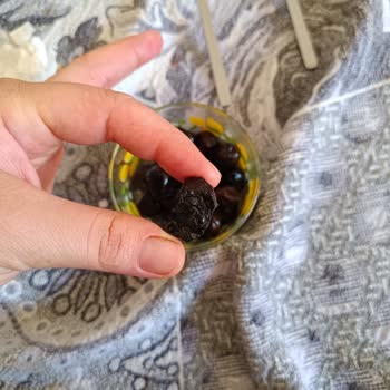 Alkan Zeytin Ve Sahipleri