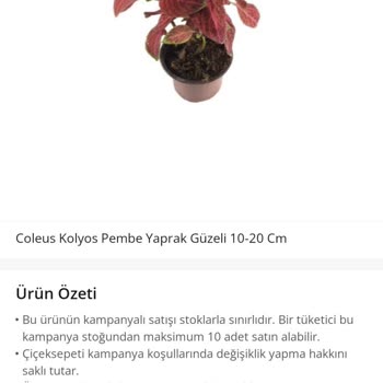 Çiçek Sepeti Müşteri Umursamazlığı