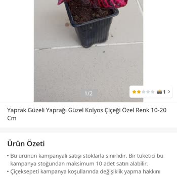 Çiçek Sepeti Müşteri Umursamazlığı
