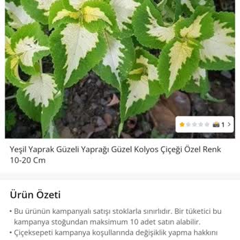 Çiçek Sepeti Müşteri Umursamazlığı