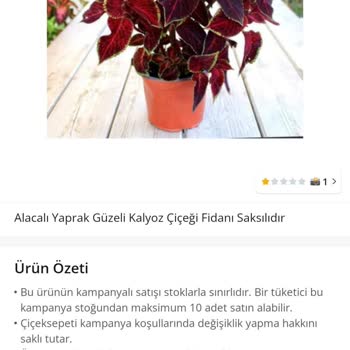 Çiçek Sepeti Müşteri Umursamazlığı