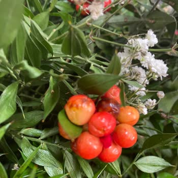 Kötüsün Çiçek Sepeti. Çok Kötü