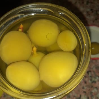 Aysan Turşu Marketten Alınan Turşu Ürününde Kalite Sorunları