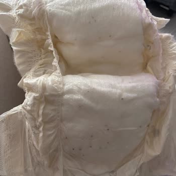 Sleepy Bezin İçindeki Siyah Noktalar