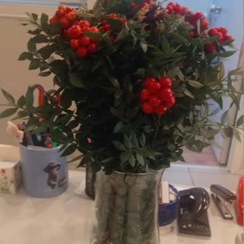 Çiçek Sepeti Görsel Üründen Farklı Ve Müşteri Temsilcisinin Yaklaşımı