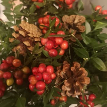 Çiçek Sepeti Görsel Üründen Farklı Ve Müşteri Temsilcisinin Yaklaşımı