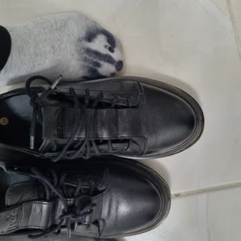 İnci Ayakkabı Satın Aldığım Ayakkabının Çorapları Boyaması