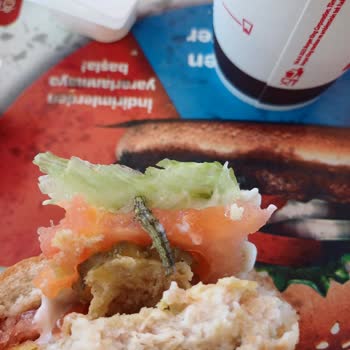 Burger King Ürünün İçinden Böcek Çıkması