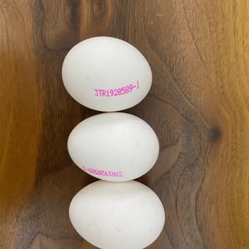 Şok Marketler Marketten Alınan Yumurtaların Boy Ve Gramaj Sorunu