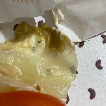 Trabzon Beşirli Popeyes Bozuk Çiğ Ürünler