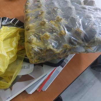 Şok Marketler Online Siparişte Yaşanan Gecikme Ve Hasar Sorunları