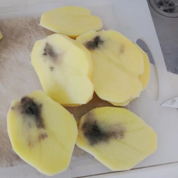 Şok Marketler Hastalıklı Sebze Satışı