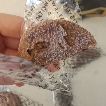 Patiswiss Kalitesiz Çikolata Hayal Kırıklığı
