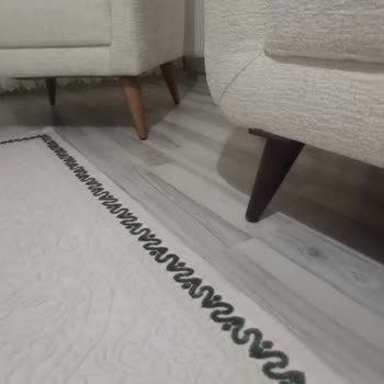 Alfemo Koltuk Ayaklarının Farklı Renkte Olması