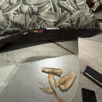 Çerezya Çekirdeğin Kalite Ve Tadı Çok Kötü.