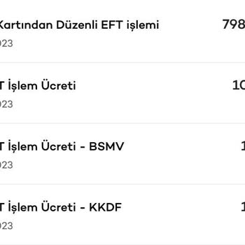 Vanilin Design Ödeme Yapmama Rağmen Ürünlerimi Göndermiyor
