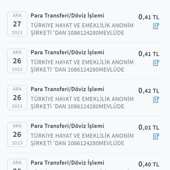 Türkiye Hayat Ve Emeklilik Para Atıyor