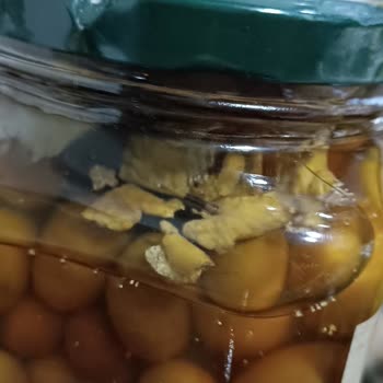 Şok Marketler Küflenmiş Lio Yeşil Zeytin