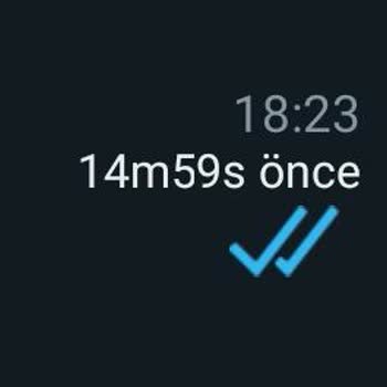 Whatsapp Aero Son Görülme İngilizce