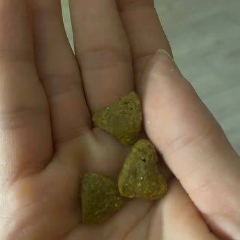 GetirÇarşı Getir Petshop Köpek Maması Sipariş Ederken Çok Dikkat Edi N!