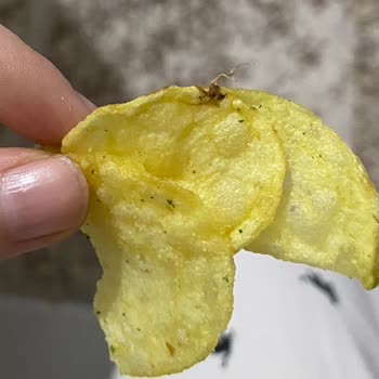 Lays De Çıkan Garip Nesne