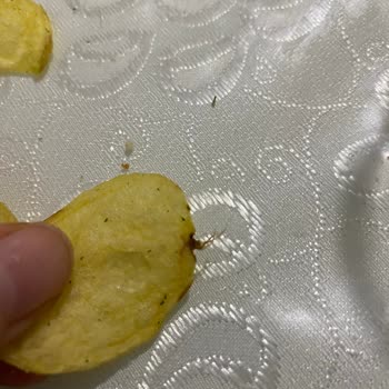 Lays De Çıkan Garip Nesne