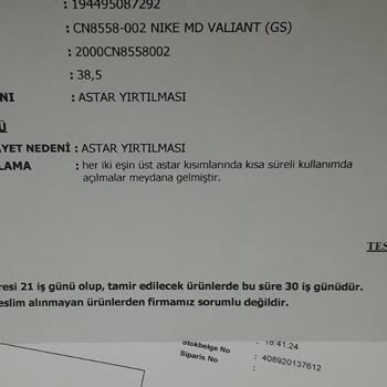 Ayakkabı Dünyası Nike Spor Ayakkabı Yırtılması