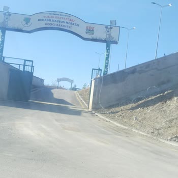 Mamak Belediyesi Kutludüğün Barınağı Müdürü Sesimizi Duy