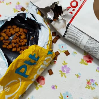 Vodafone Her Şey Yanımda Kedi Maması Siparişi Kargoda Kayboldu, Sorun Çözülemedi!