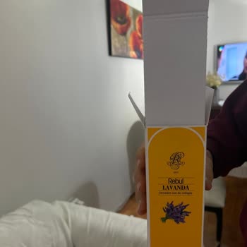 Rebul Kolonya Gramajında Oyunlar