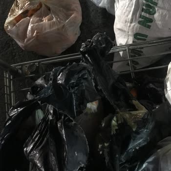 As Adana Seyahat Otobüs Firması Sorun Yaşama