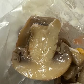 Alaçatı Kumpircisi & Pizza Kumpirin İçinden Kıl Çıktı!