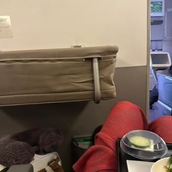 THY Extra Diz Mesafeli Koltuk Yalanı