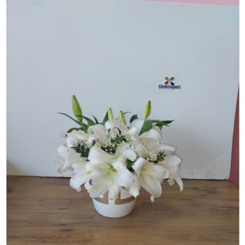 364436233 Numaralı Çiçek Sepeti Alışverişim Görselle Alakasız Geldi