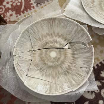 Madame Coco İnternet Alışverişi Kırık Ürün Gönderilmesi