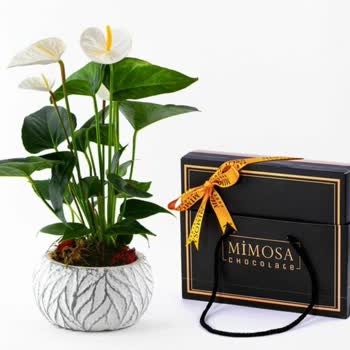 ÇiçekSepeti Resimdeki İle Alakası Olmayan Çiçek Gönderilmesi