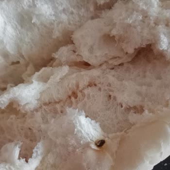 BİM Ekmek İçinden Cisim Çıktı