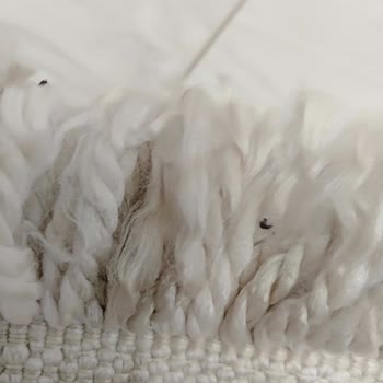 Kara Halı Yıkama Halılarım Kirli Geldi