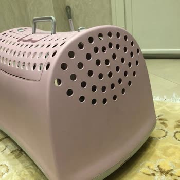 Dolaptan Sattığım Ürünümü Trendyol Express Kırdı