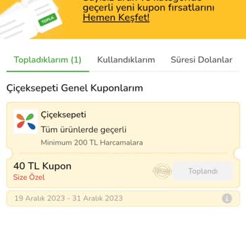 İşgüzar İndirim Kodu Kullandırmayan Çiçek Sepeti