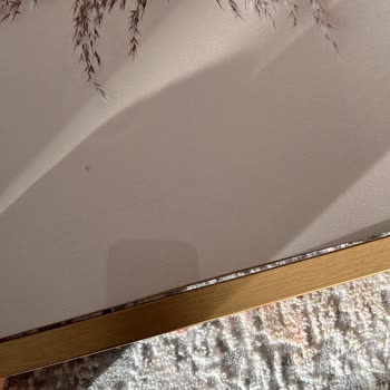 Baskı Şah İadeyi Kabul Etmiyor