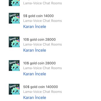 Lama Sohbet Uygulamaya Giriş Yapamama