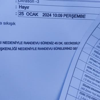 Isparta Şehir Hastanesi Doktor Randevusundaki Sorunlar Ve Hastaların Beklentileri