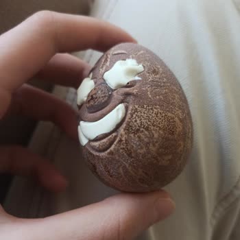 Aldığım Ozmo Çikolata Bozuk Çıktı