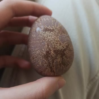Aldığım Ozmo Çikolata Bozuk Çıktı